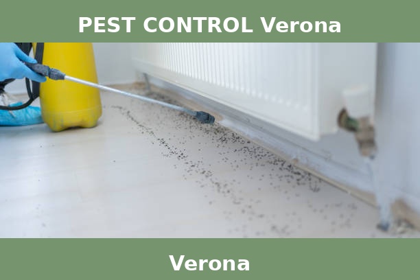 PEST CONTROL Verona